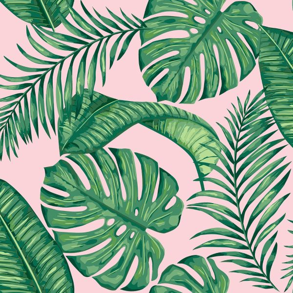 Watercolor Painting Monsteracoconut Leaves Seamless Pattern With Shadow On  Pink BackgroundWatercolor Llustration Palmpink Leaftree Tropical Exotic  Leaf For Wallpaper Textile Vintage Hawaii Style Stock Photo Picture And  Royalty Free Image Image 